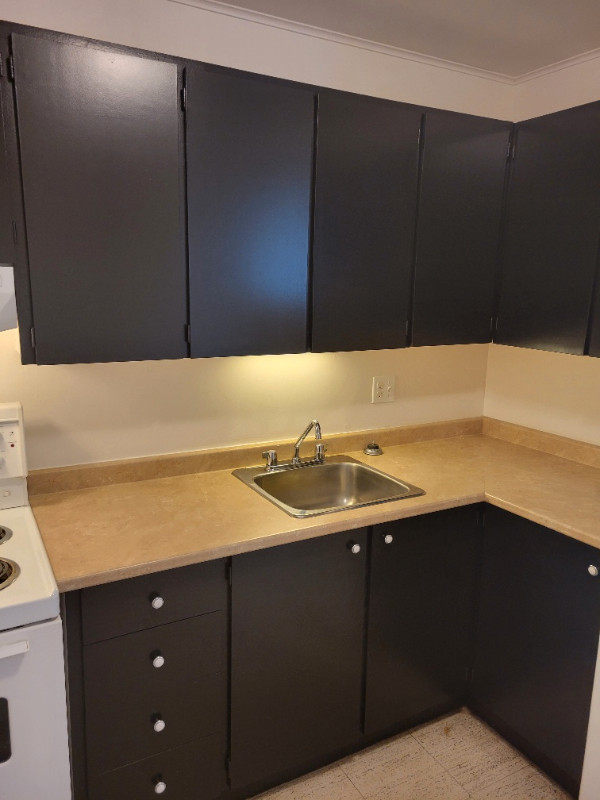 APARTMENT FOR RENT 1 BDRM ON 195 LORRAINE AVE, KITCHENER Long Term