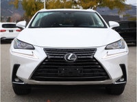 2019 LEXUS NX 300 - NO ACCIDENTS - BC VEHICLE - NAVIGATION - BACKUP CAMERA - HEATED AND VENTILATED F... (image 3)