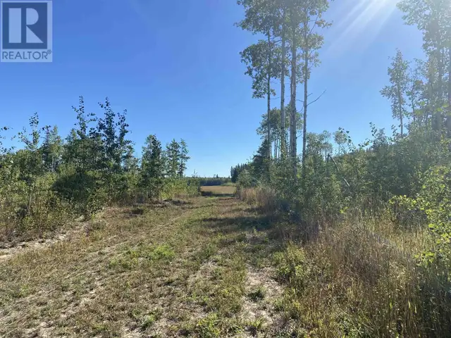 NECHAKO RIVER Vanderhoof, British Columbia in Land for Sale in Vanderhoof - Image 17