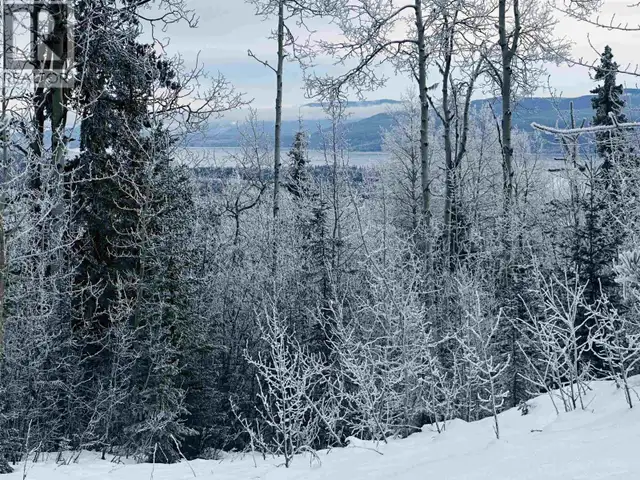 LOT A BALD HILL ROAD Burns Lake, British Columbia in Land for Sale in Burns Lake - Image 17