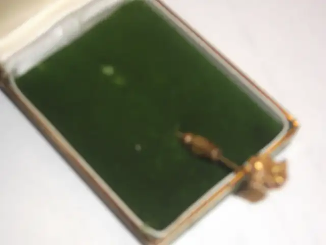 SOLID GOLD NUGGET ON A TIE PIN. REAL GOLD in Jewellery & Watches in Belleville - Image 3