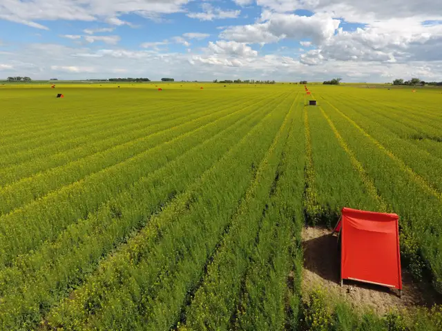 Farm Labour in General Labour in Lethbridge - Image 4