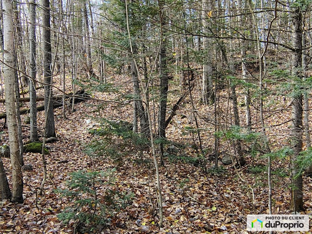$48,000 - Residential Lot for sale in Gore — photo 3