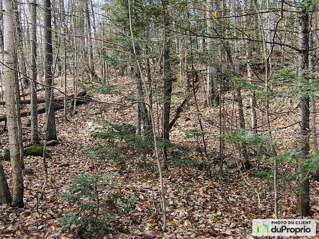 $48,000 - Residential Lot for sale in Gore — photo 3
