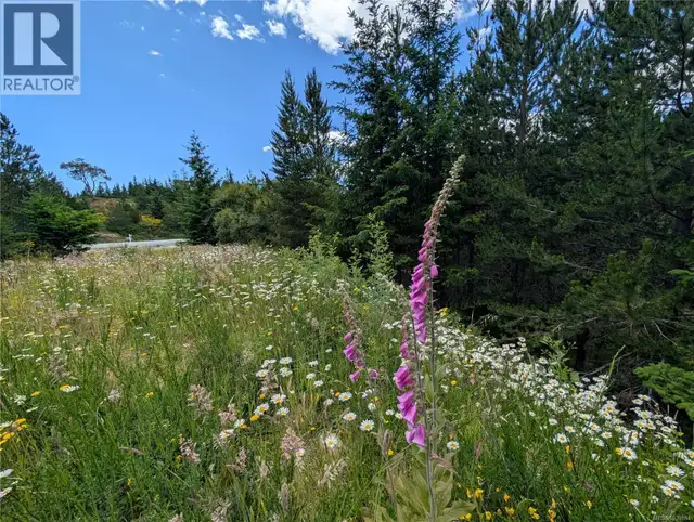 Lot 1 Eagle Vista Rd Shawnigan Lake, British Columbia in Land for Sale in Victoria - Image 13