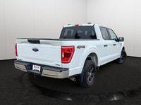 This Ford F-150 has a strong Regular Unleaded V6 3.5 L EcoBoost engine powering this Automatic trans... (image 4)