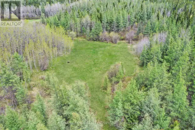 FAUQUIER-STRICKLAND - 319 HIGHWAY 11 Kapuskasing, Ontario in Land for Sale in Kapuskasing - Image 18