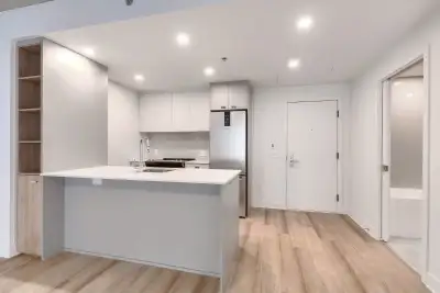 rental apartment for rent logement locatif-nouveau new luxe-1 bedroom/chambre-1cc 3.5 3 1/2 Penthous...