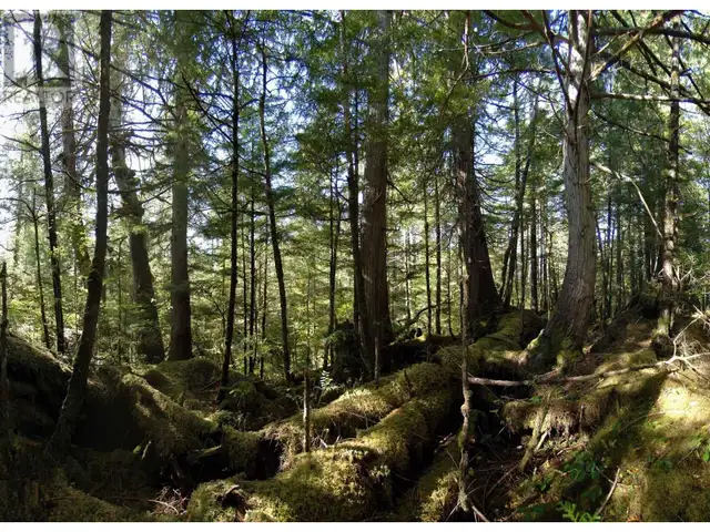 1302 GOBLE POINT Prince Rupert, British Columbia in Land for Sale in Prince Rupert - Image 19