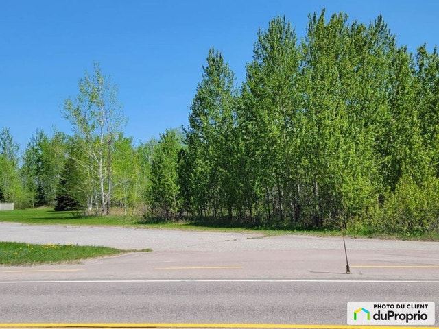 $50,000 - Residential Lot for sale in St-Felicien — photo 3