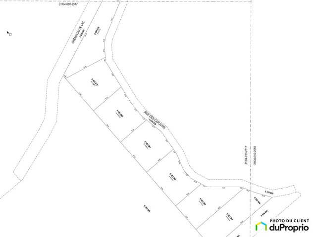 $61,877 - Price taxes not included - Residential Lot in Chertsey — photo 3