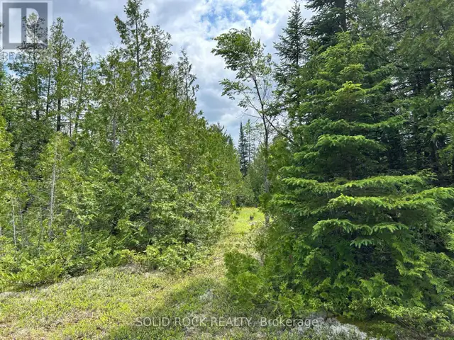0 MAST ROAD McNab/Braeside, Ontario in Land for Sale in Ottawa - Image 5