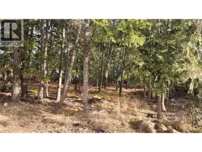 Large corner lot in the Village of Nakusp. This lot is mostly treed, giving you a ""blank canvas"" f...