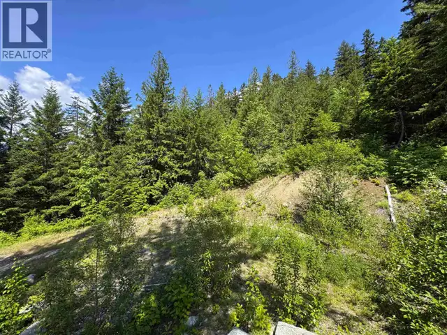 7505 PEBBLE CREEK DRIVE Pemberton, British Columbia in Land for Sale in Whistler - Image 12