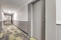 Amenities: In-suite Laundry Available • Affordable Parking • Spacious Rooms Suite & Building: Bachel... (image 8)