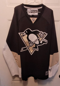 Pittsburg penguins / Steve Yzerman Detroit jerseys