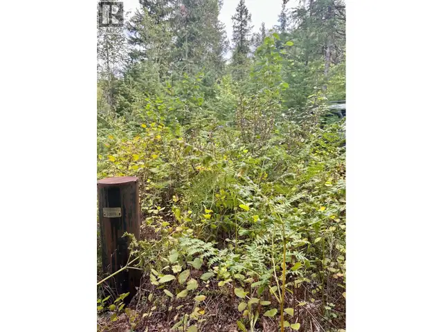 5105 3 Highway Salmo, British Columbia in Land for Sale in Nelson - Image 7