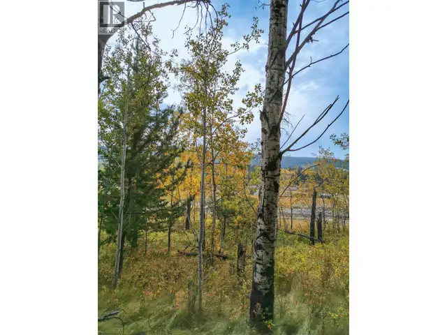 280 BLACKSTOCK ROAD 100 Mile House, British Columbia in Land for Sale in 100 Mile House - Image 6