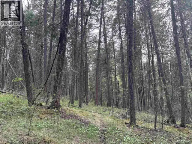 550 DOG CREEK ROAD Williams Lake, British Columbia in Land for Sale in Williams Lake - Image 12