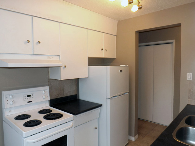 Central McDougall Apartment For Rent | Julliard South in Long Term Rentals in Edmonton