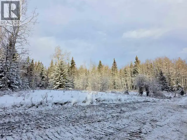 FRAC N1/2 DL 2557 BINTA ROAD Burns Lake, British Columbia in Land for Sale in Burns Lake - Image 6