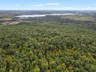 Escape to your private wonderland nestled on a mountainside in Waltham, Québec. This undeveloped woo...