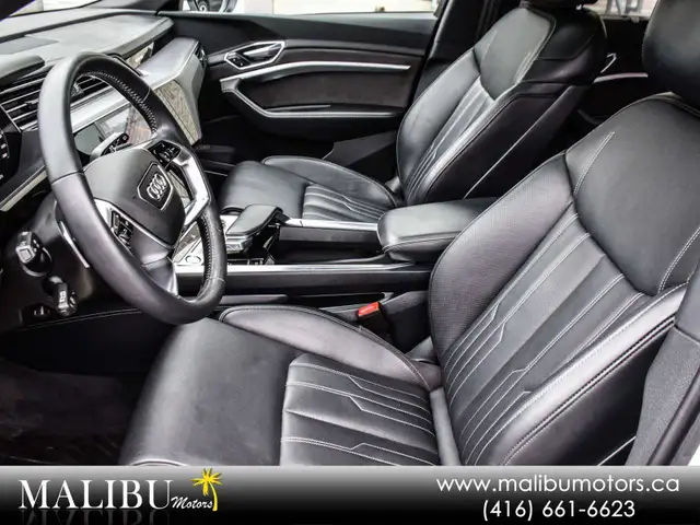 2019 Audi e-tron Technik5570167698895872012