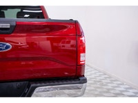 Libérez votre potentiel avec le Ford F-150 XLT Découvrez la quintessence de la puissance, de la poly... (image 7)