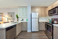 Live well at Main Square Apartments; perfectly located at Danforth and Main, surrounded by convenien... (image 2)