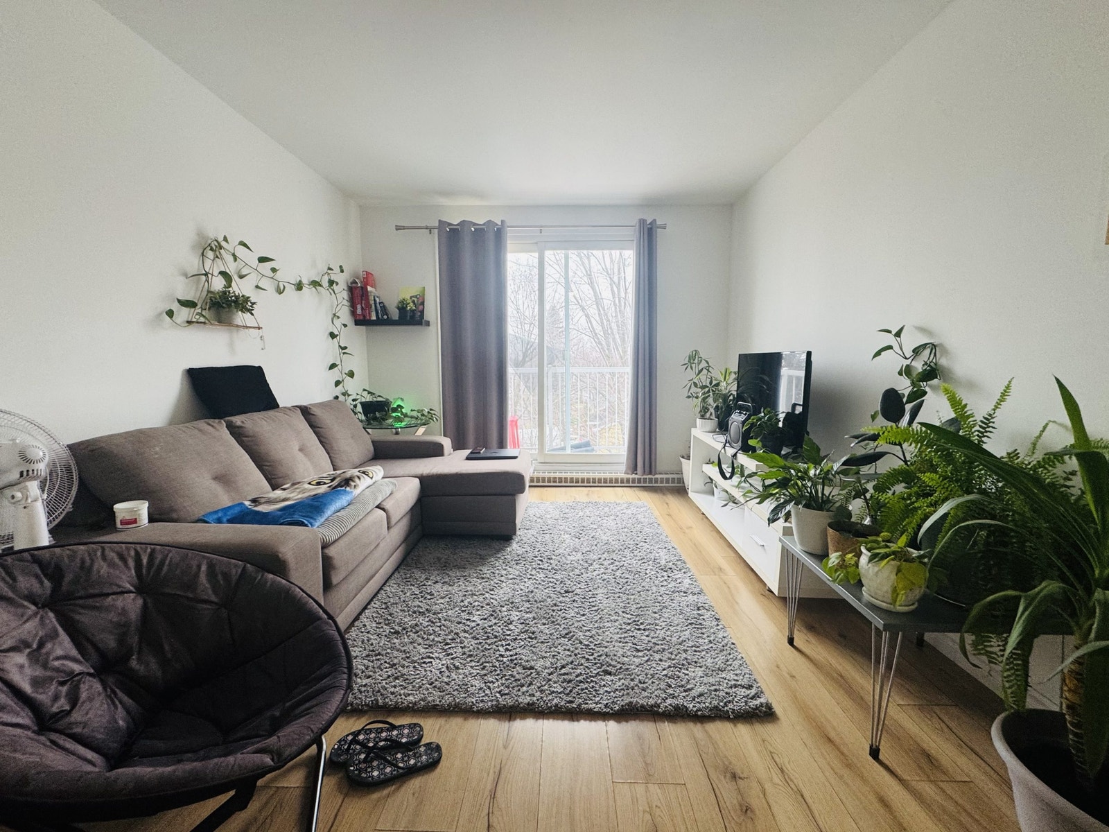 55 Rue Carmichaël — photo 1