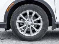 Experience the perfect blend of sophistication, versatility, and all-weather confidence with the 202... (image 3)