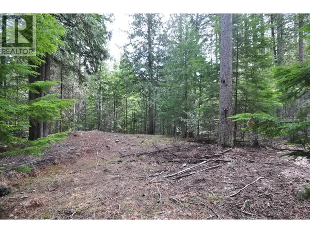 2835 SILVER KING Road Nelson, British Columbia in Land for Sale in Nelson - Image 21