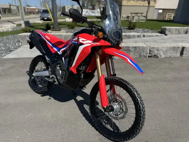 2024 Honda CRF300L Rally ABS in Street, Cruisers & Choppers in Kitchener / Waterloo - Image 2