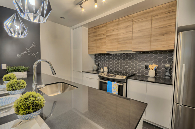 1451 chemin Gascon, Spacious 2-Bedroom Apartment for Rent dans Locations longue durée  à Laval/Rive Nord - Image 4