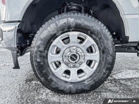 2023 Ford Super Duty F-350 SRW XLT 2023 Ford Super Duty F-350 SRW XLT Crew Cab Pickup Vehicle Highli... (image 9)