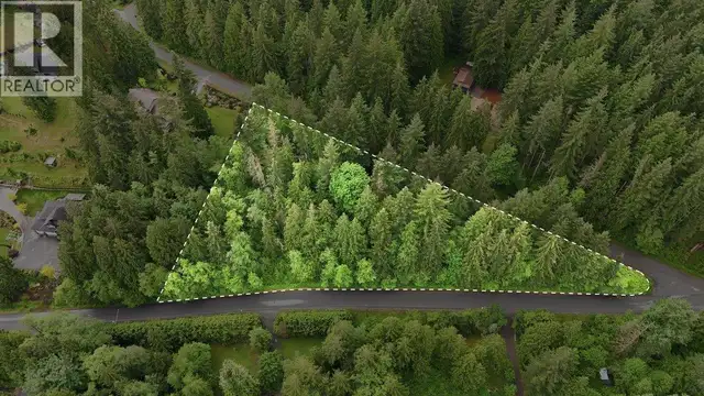 12540 BLUE MOUNTAIN CRESCENT Maple Ridge, British Columbia in Land for Sale in Tricities/Pitt/Maple - Image 12