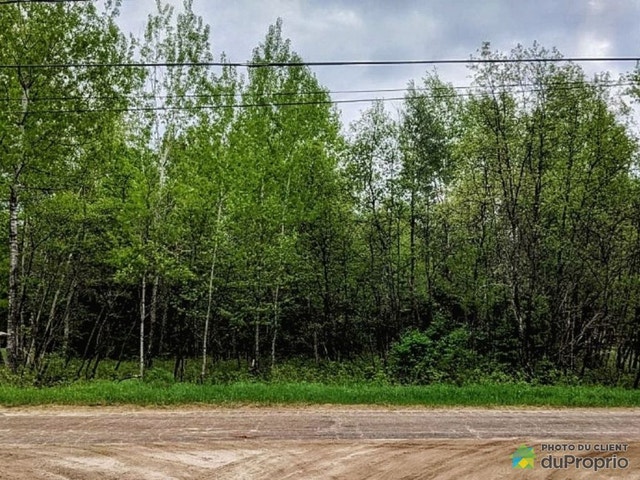 $65,000 - Residential Lot for sale in Nominingue — photo 2