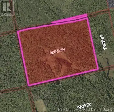 Vacant Land with Mature Trees and Trail Access Ideal for Cabin Retreat. This stunning 30.4-hectare (...