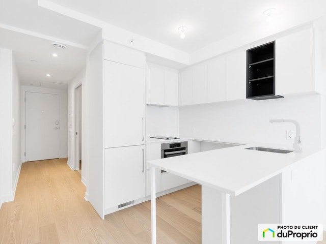 $320,000 - Condominium in Ville-Marie (downtown, old Mtl) — photo 3