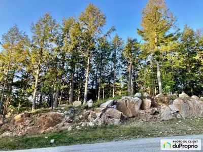Évadez-vous dans votre propre coin de paradis ! Ce superbe terrain de 1,3 acre orienté sud-ouest est...