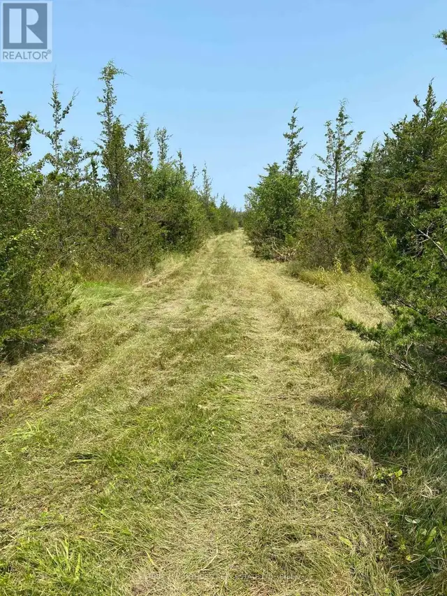 1677 COUNTY 8 ROAD Prince Edward County (North Marysburg Ward),  in Land for Sale in Belleville - Image 34