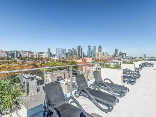 3.5-1 bedroom condo for rent-Apartments GRIFFINTOWN-McCord in Long Term Rentals in City of Montréal - Image 15