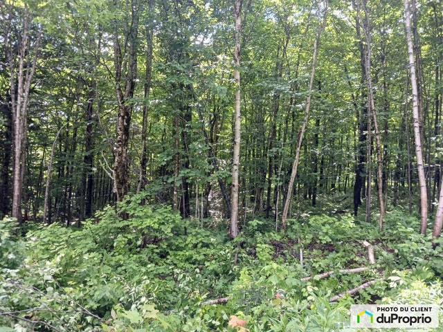 $64,990 - Residential Lot for sale in St-Fabien-De-Panet — photo 2