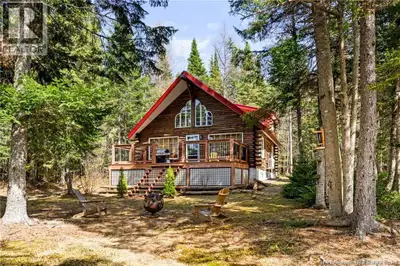 **WATERFRONT RETREAT // COZY LOG HOME // METAL ROOF // PRIVATE & PEACEFUL** Welcome to **653 Fork St...