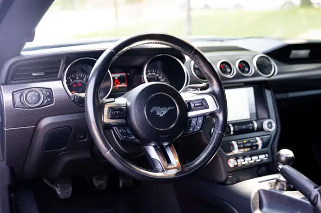 2022 Ford Mustang5919031836449382410