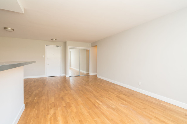 One bedroom, King and Spencer - ID 1679 in Long Term Rentals in City of Toronto - Image 4