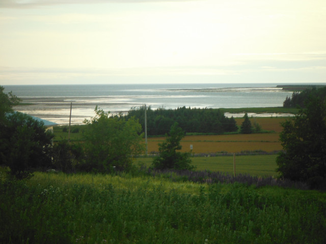 1.5 Acre WATERVIEW Lot in Orwell Cove. in Land for Sale in Charlottetown - Image 3