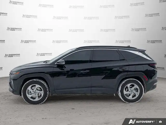 2024 Hyundai Tucson Trend | AWD | Panoramic Sunroof in Cars & Trucks in Edmonton - Image 4