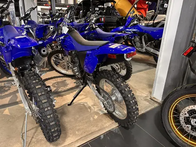 2025 Yamaha TT-R 230 in Dirt Bikes & Motocross in Moncton - Image 5