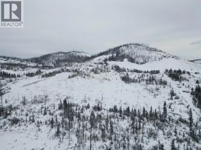 SPICER ROAD Burns Lake, British Columbia in Land for Sale in Burns Lake - Image 4